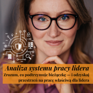 Analiza systemu pracy lidera